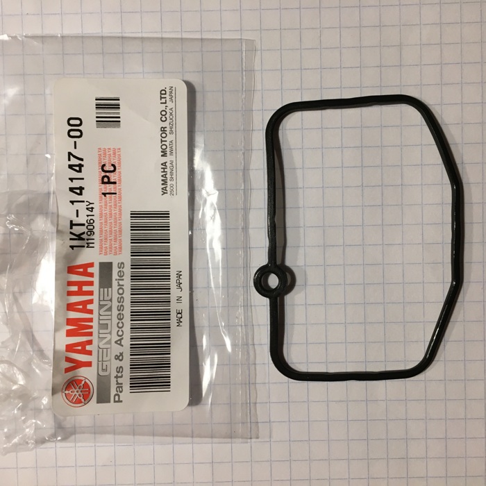 Schwimmerkammerdichtung