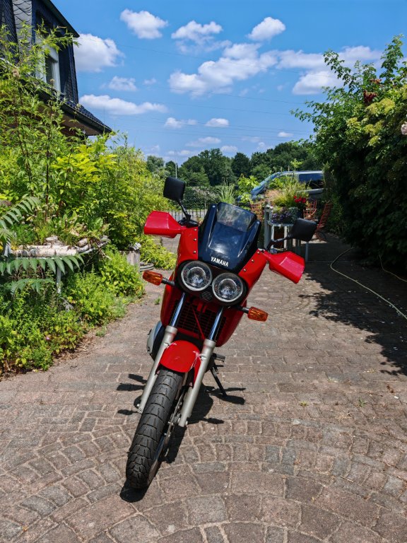 IMG_20250618_141545.jpg