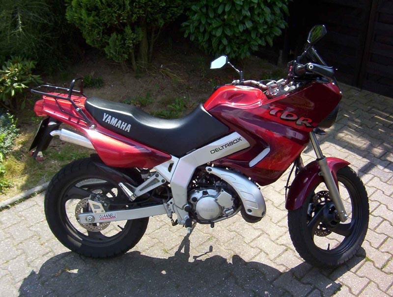'99er TDR in "VIVID RED COCKTAIL 7