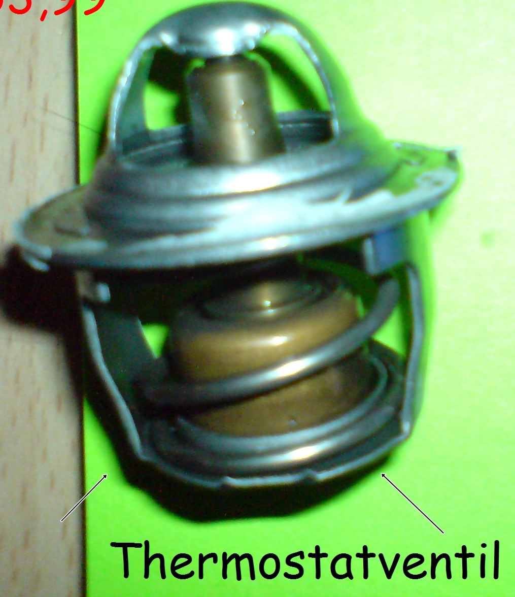 Thermostat Ventil.JPG